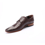 William Dress Shoe // Brown (Euro: 41)