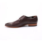 William Dress Shoe // Brown (Euro: 44)