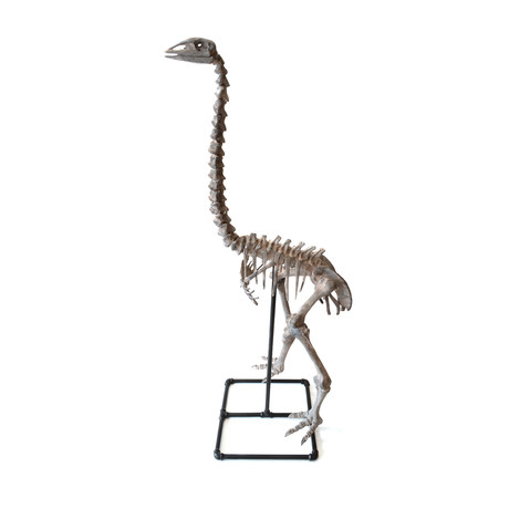 Ostrich Sculpture