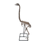 Ostrich Sculpture