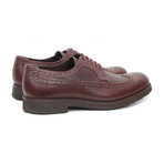 Lincoln Shoe // Brown (Euro: 45)