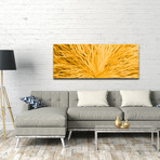 Blooming Gold (19"H x 48"W x 1"D)