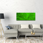 Blooming // Green (48"W x 19"H)