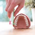 Wingbrush 2.0 // Starter Pack (XS)