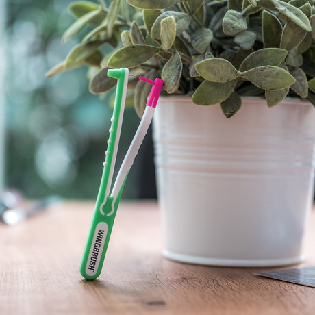 Wingbrush 2.0 // Family Pack (XS)