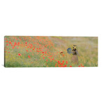 Wild Poppies, Near Argenteuil, 1873 // Claude Monet (36"W x 12"H x 0.75"D)