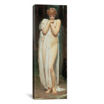 The Light Of The Harem // Frederick Leighton // 1880 (36"W x 12"H x 0.75"D)