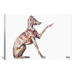 Italian Greyhound // Becksy (26"W x 18"H x 0.75"D)