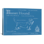 Blueprint Of A Basset Hound // Ethan Harper (26"W x 18"H x 0.75"D)