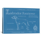 Blueprint Of A Labrador Retriever // Ethan Harper (26"W x 18"H x 0.75"D)