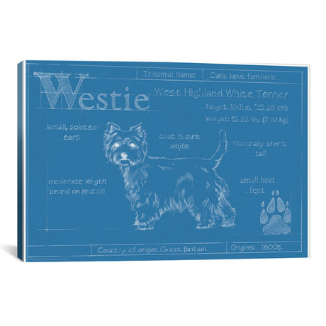 Blueprint Of A Westie // Ethan Harper (26"W x 18"H x 0.75"D)