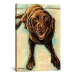 Chocolate Lab // Hippie Hound Studios