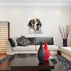 St. Bernard // Michel Keck (18"W x 18"H x 0.75"D)