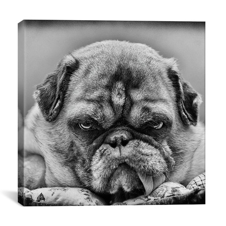 The Boss // Angelika Martha Himburg (18"W x 18"H x 0.75"D)