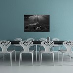 Shepherd Dog // Clas Gustafson