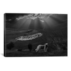 Shepherd Dog // Clas Gustafson