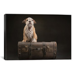 Wrinkly // Nuelle Flipse (26"W x 18"H x 0.75"D)