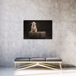 Wrinkly // Nuelle Flipse (26"W x 18"H x 0.75"D)