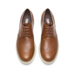 Neuman // Brown (Euro: 42)