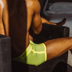 Boxer Briefs // Yellow + Green (L)