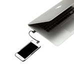 USB + Lightning Cable