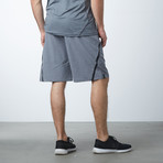 Light Gray Slick Shorts // Gray (M)