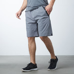 Light Gray Slick Shorts // Gray (M)
