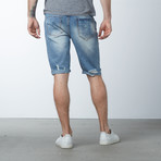 Rips + Stars Paint Splatter Denim Shorts // Medium Blue (30)