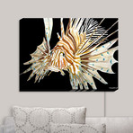 Illuminated Wall Art // Marley Ungaro's Deep Sea Life // Lion Fish (20"W x 16"H x 3.25"D)