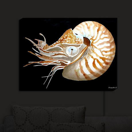 Illuminated Wall Art // Marley Ungaro's Deep Sea Life // Nautilus (20"W x 16"H x 3.25"D)