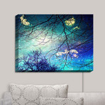 Illuminated Wall Art // Syliva Cook // Night Sky (20"W x 16"H x 3.25"D)