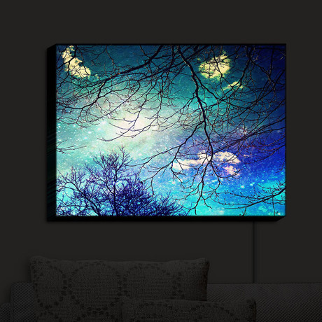 Illuminated Wall Art // Syliva Cook // Night Sky (20"W x 16"H x 3.25"D)