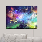 Illuminated Wall Art // Sylvia Cook // Look to the Stars (20"W x 16"H x 3.25"D)