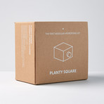 Planty Square