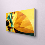 Golden Spiral (21"W x 13"H)