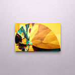 Golden Spiral (21"W x 13"H)