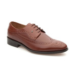 Mateo Shoe // Dark Brown (Euro: 43)