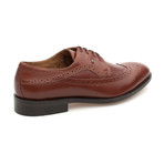 Mateo Shoe // Dark Brown (Euro: 43)