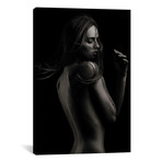 Sensual Beauty III // Martin Krystynek (26"W x 18"H x 0.75"D)