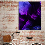 Vanquish (16"W x 20"H x 1.5"D)