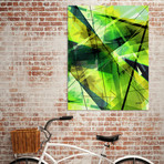 Vitalize (16"W x 20"H x 1.5"D)