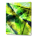 Vitalize (16"W x 20"H x 1.5"D)