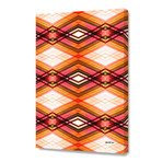 Technologic (16"W x 24"H x 1.5"D)