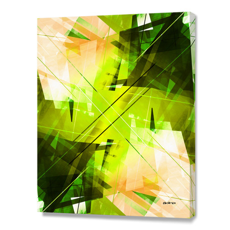 Toxic (16"W x 20"H x 1.5"D)