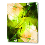 Toxic (16"W x 20"H x 1.5"D)