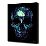 Skull 3 (16"W x 20"H x 1.5"D Artblock)