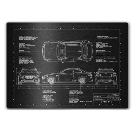 BMW // 2015-2017 // M2 (17"W x 12"H x .125"D)