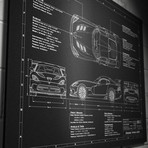 Dodge // 2016-2017 // Viper ACR (17"W x 12"H x .125"D)