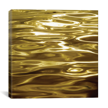 Liquid Gold // Charlie Carter (18"W x 18"H x 0.75"D)