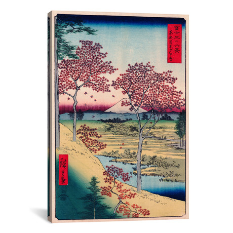 Toto Meguro Yuhigaoka // Yuhigaoka at Meguro in Edo // // Utagawa Hiroshige (26"W x 18"H x 0.75"D)